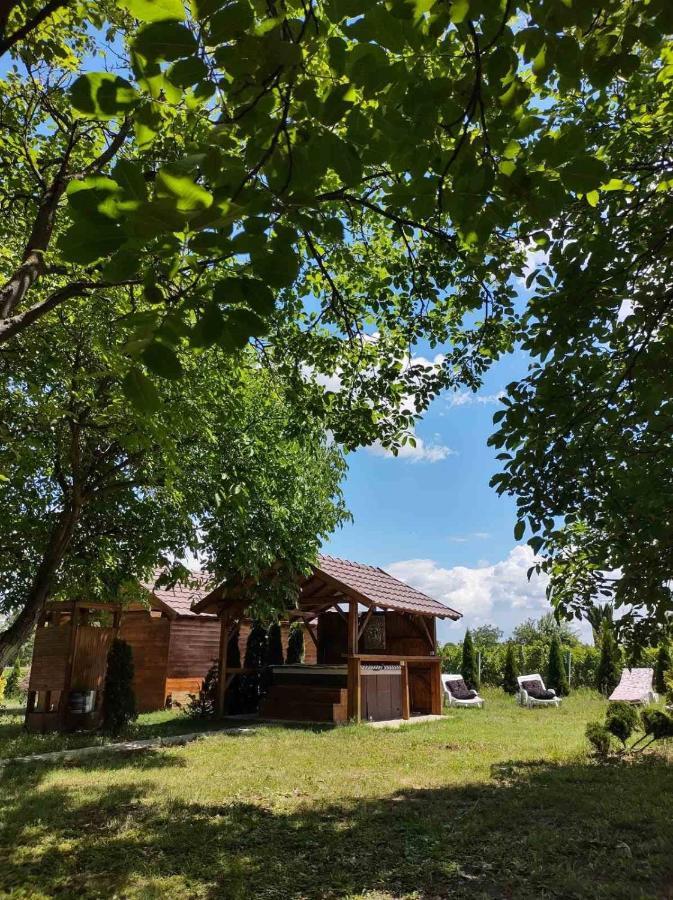Brvnara Aurora Vista Villa Velika Remeta Eksteriør billede